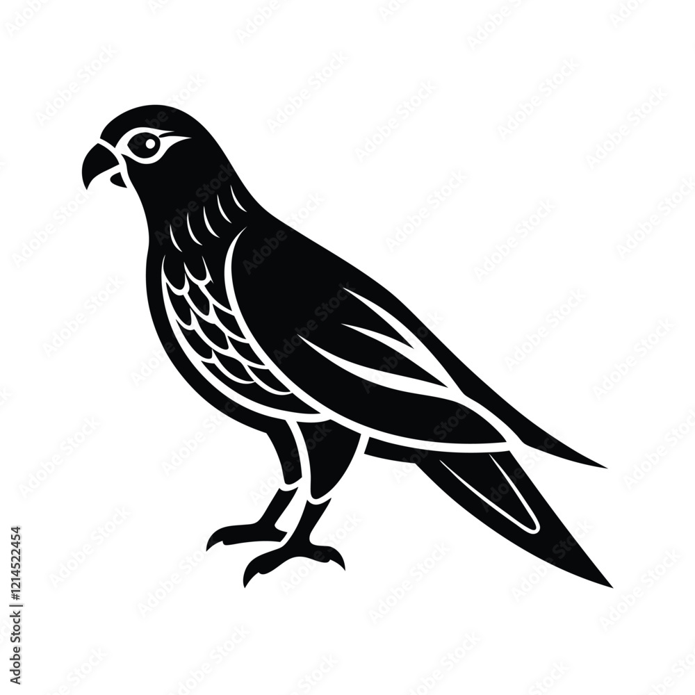 Obraz premium dove isolated on white