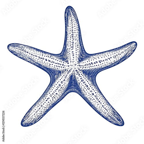Starfish, Outline, Decorative, Blue, Vector Graphic, Use in Design, Backgrounds, Patterns, etc