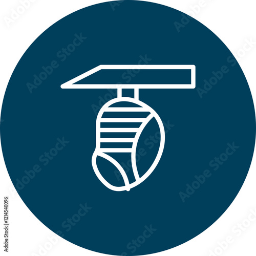 Insect Pupa Vector Icon Design photo