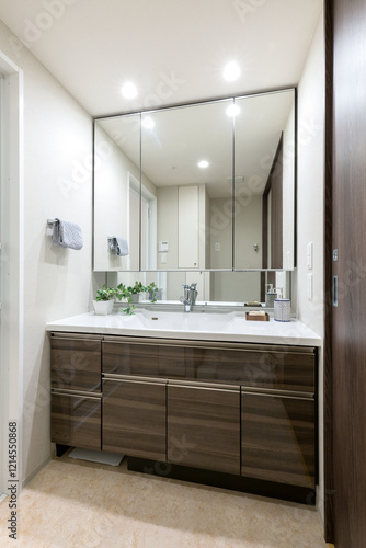 Wallpaper Mural 三面鏡・チャイルドミラー付き洗面化粧台、洗面室 Torontodigital.ca