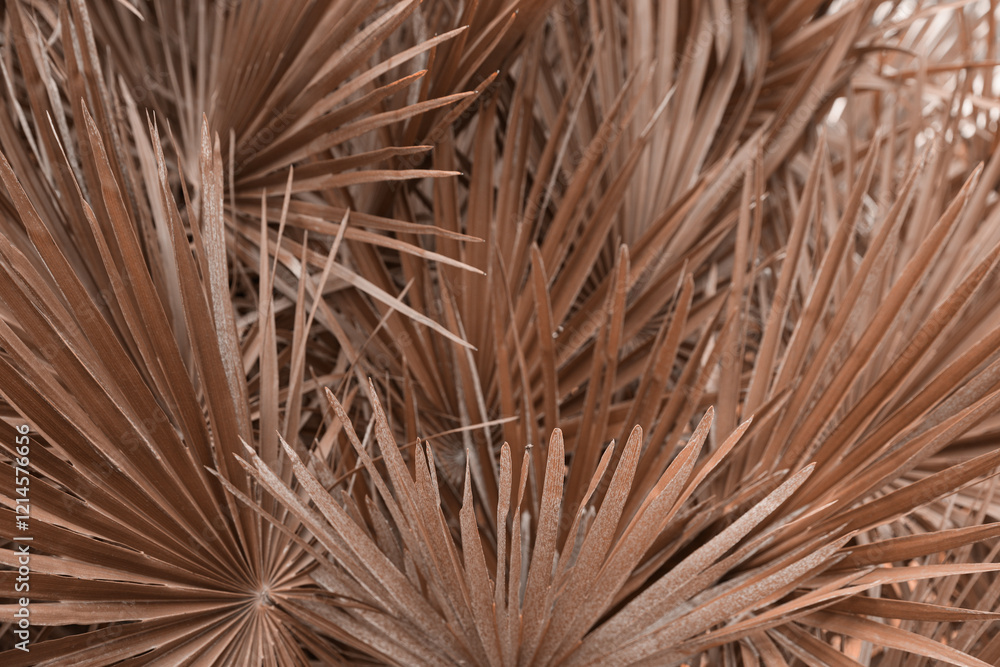 Obraz premium Beautiful tropical leaves, toned in mocha mousse shade. Trendy color of 2025 year