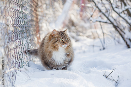 Photography Generated image