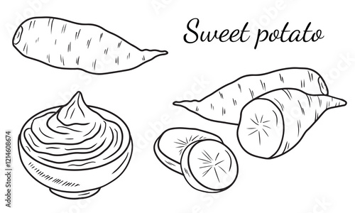 Sweet potato cut, sliced and mashed potatoes in bowl with garlic sauce in black isolated on white background. Hand drawn vector sketch illustration in doodle engraved vintage line art style