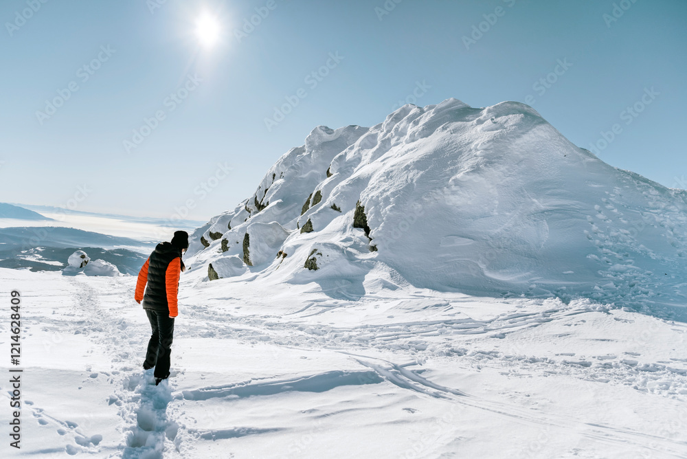 Hiker woman standing in the high winter mountain with stunning view Hiker woman standing in the high winter mountain with stunning view