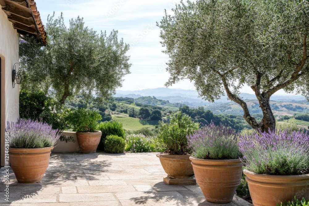 Stunning outdoor terrace with olive trees and lavender overlooking lush rolling hills in a serene countryside setting on a sunny day Stunning outdoor terrace with olive trees and lavender overlooking lush rolling hills in a serene countryside setting on a sunny day