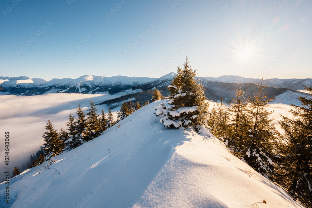 Fototapeta premium Winter hiking to Sina in Low Tatras National park near jasna is full of beautiful views. Sunset in Slovakia mountains with Chopok peak.