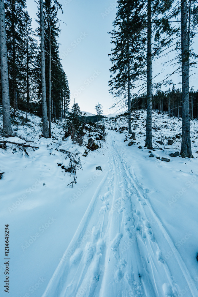 Obraz premium Winter hiking to Chopok in Low Tatras National park is full of beautiful views. Slovakia mountains landscape.