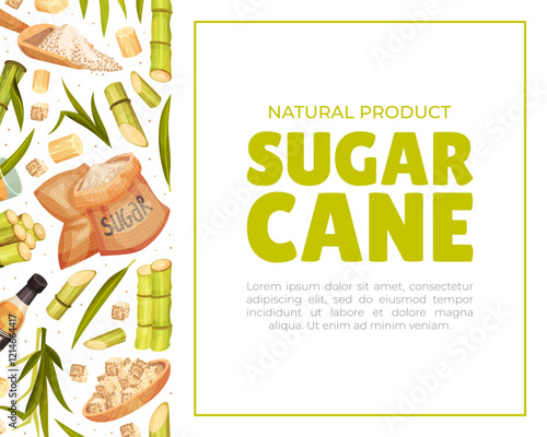Sugar Cane Banner Design with Stem Plant Vector Template