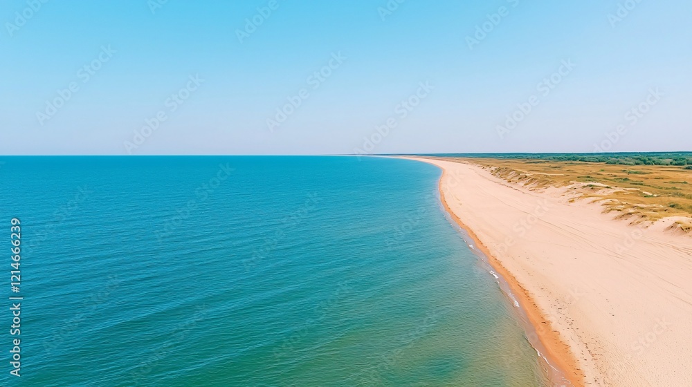 Coastal beach, dunes, ocean view, summer sky, travel postcard Coastal beach, dunes, ocean view, summer sky, travel postcard