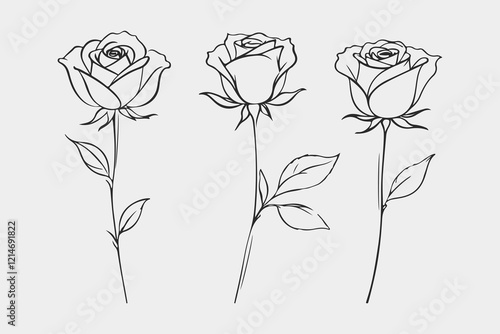 Rose Flowers Line Drawing Set. Vector Outline Botanical Collection. Simple Botanical Floral Contour Art. Black Sketch Isolated on White. Great for Prints, Tattoo, Wall Art, Invitation, Greeting Cards