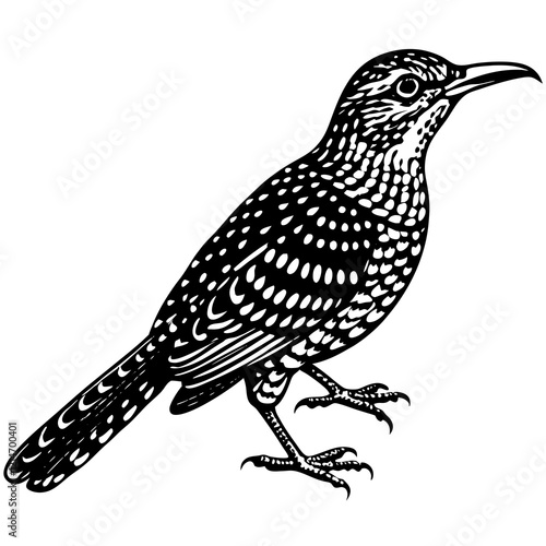 Wallpaper Mural vector illustration of a bird Torontodigital.ca