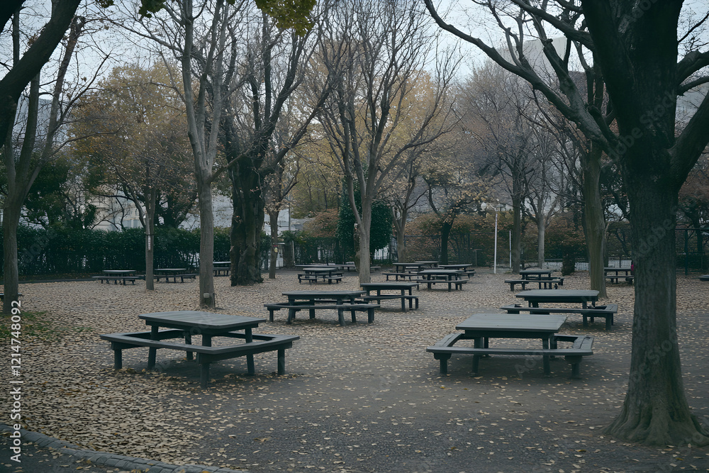Autumnal Park Picnic Area: Serene Empty Tables Under Bare Trees Autumnal Park Picnic Area: Serene Empty Tables Under Bare Trees