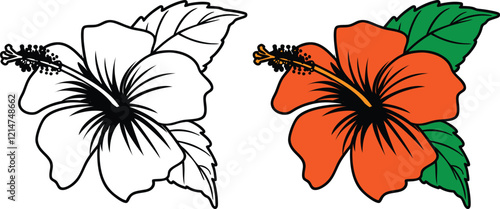 Tropical Hibiscus Flower Illustration Outline And Full Color.