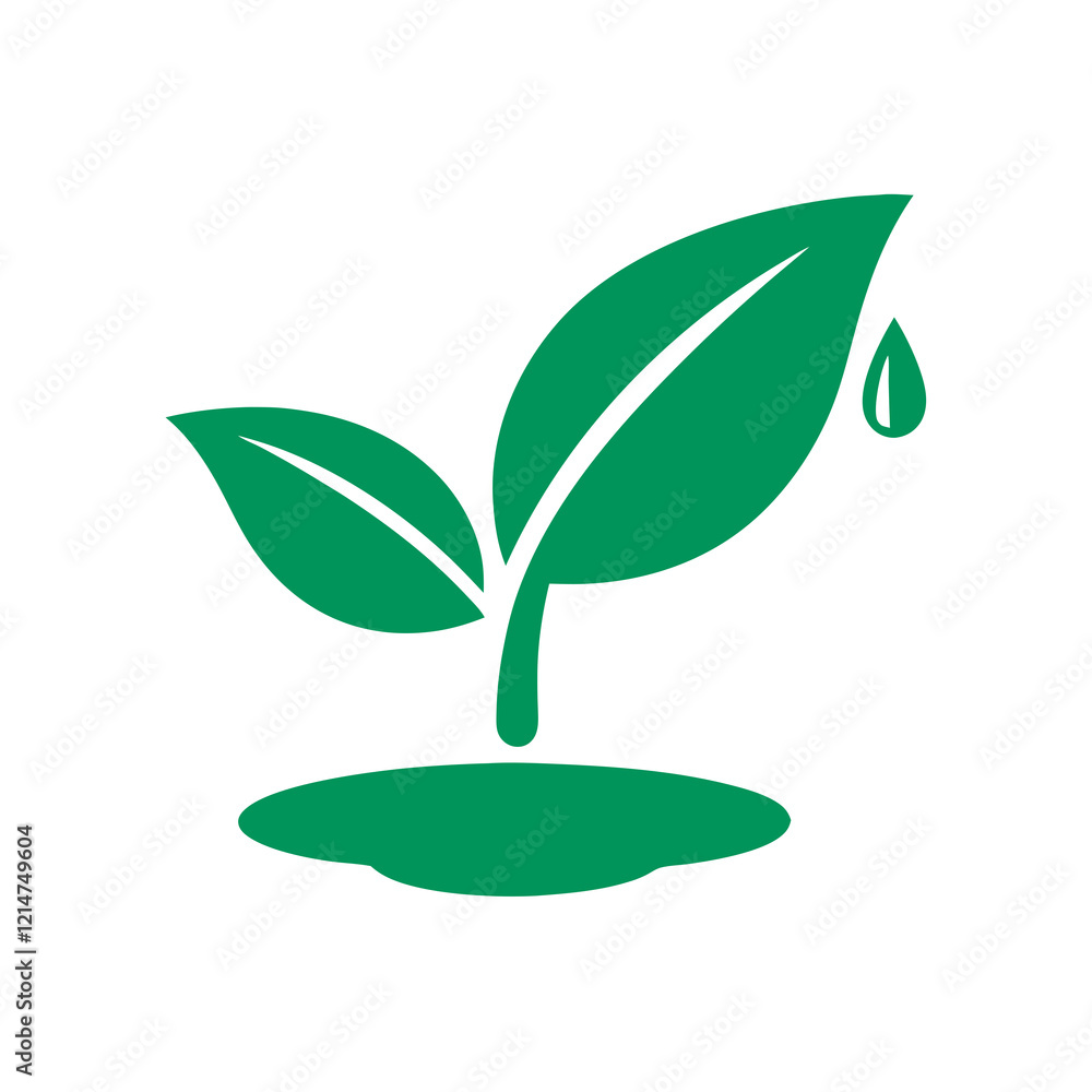 green plant in the form of a heart green plant in the form of a heart