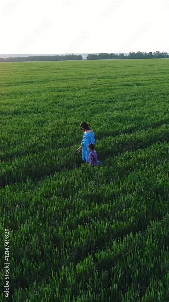 Aerial view of a pregnant woman and a young boy enjoying a walk in nature. Family bonding, leisure and tranquility. Vertical video. Aerial view of a pregnant woman and a young boy enjoying a walk in nature. Family bonding, leisure and tranquility. Vertical video.