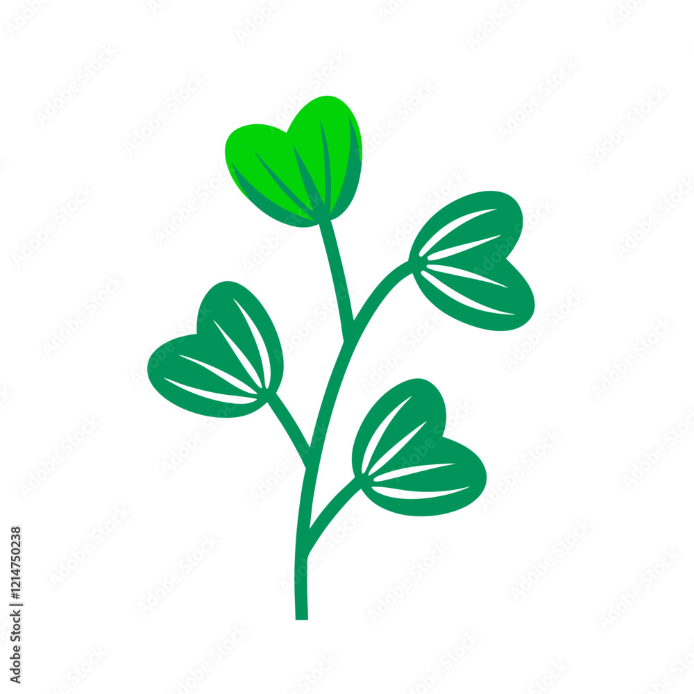 Obraz premium green leaf isolated on white background