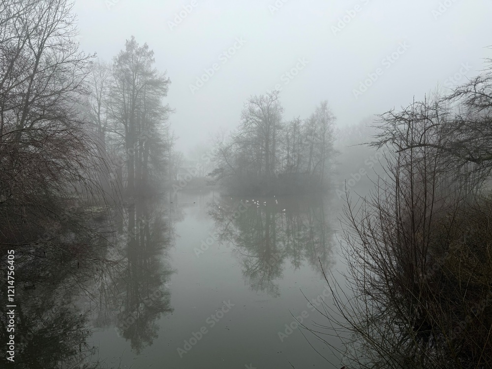 Fototapeta premium misty morning on the lake. Foggy