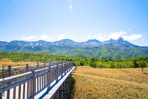 Naklejka 知床五湖の遊歩道から見た景色、日本、北海道、5月