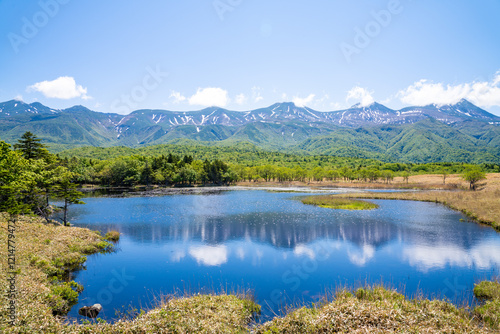 Bild auf Leinwand 知床五湖の遊歩道から見た景色、日本、北海道、5月