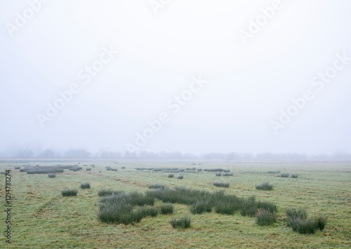 meadow in nature reserve amerongse bovenpolder on foggy winter day photo