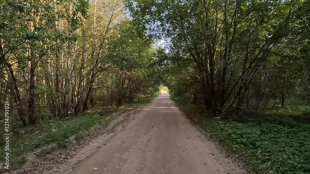 car drives along a country road along the roadside in the countryside, trees and fields car drives along a country road along the roadside in the countryside, trees and fields