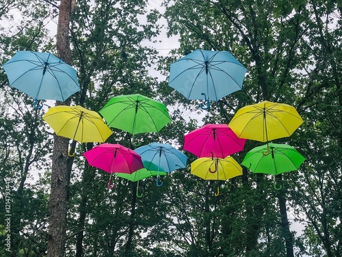 Colorful Umbrellas Dancing Among Branches photo