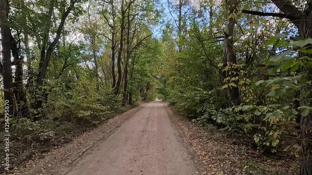 Rural road, the roadside and green forest, the path along the sand and earth. Rural road, the roadside and green forest, the path along the sand and earth.