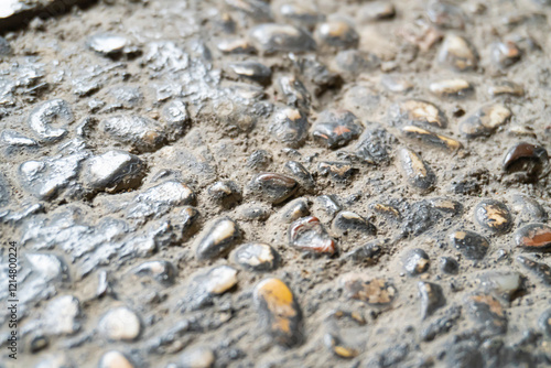 Εκτύπωση καμβά Close-up of a cobblestone or pebblestone concrete road surface