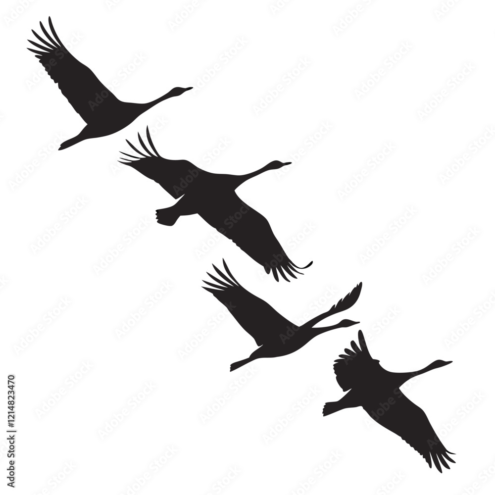 Fototapeta premium birds flying silhouette