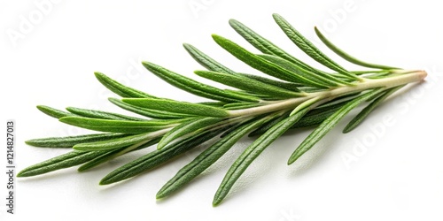 Aromatic rosemary leaf on a neutral white background with subtle texture , alpha background, green