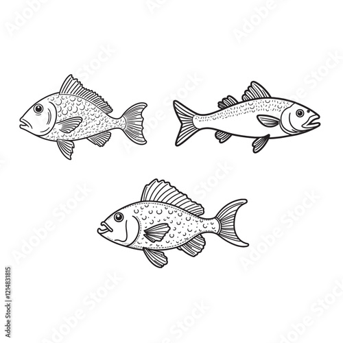 Cod fish set line art vector.