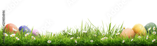 Obraz na płótnie A template of a collection of painted easter eggs celebrating a Happy Easter with green meadow grass against a transparent background. w salonie