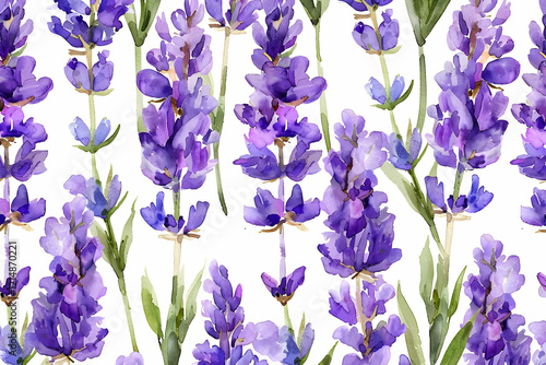 Watercolor Lavender Flowers...