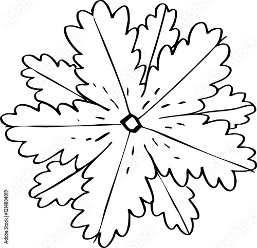 minimalist hand drawn cartoon top view of tree illustration