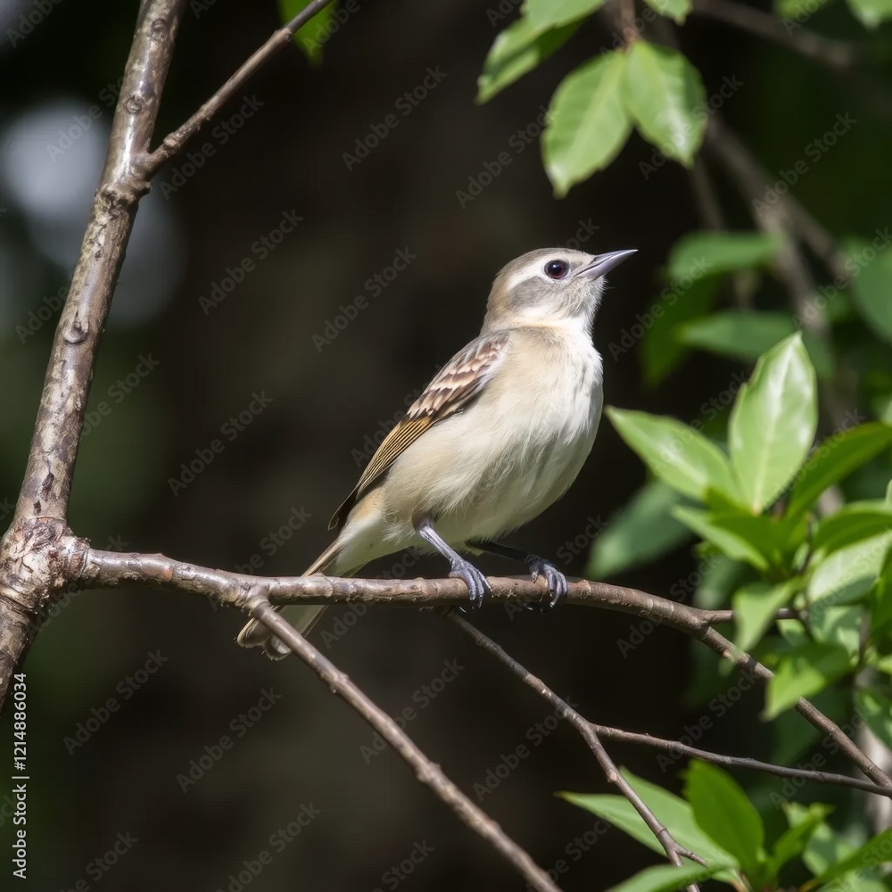 A small sparrow perched on a slender branch A small sparrow perched on a slender branch