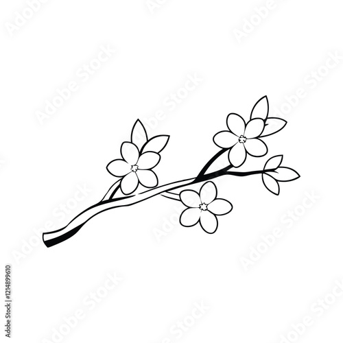 Cherry Blossoms on a Tree Branch Vector Illustration photo