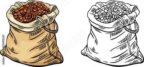 Engraving, coffee bean bag, vector illustration in color and line sketch