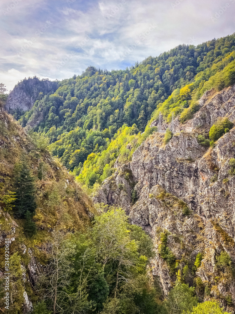 Obraz premium Winding road through the serene Făgăraș Mountains. A breathtaking landscape capturing the beauty of nature and the spirit of adventure.