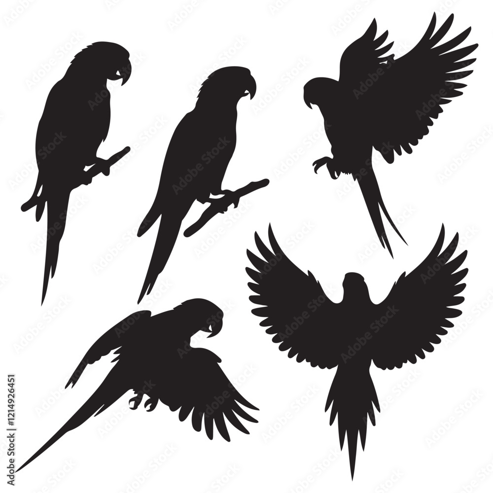 Obraz premium Vector parrot silhouettes of amazon jungle isolated on white background