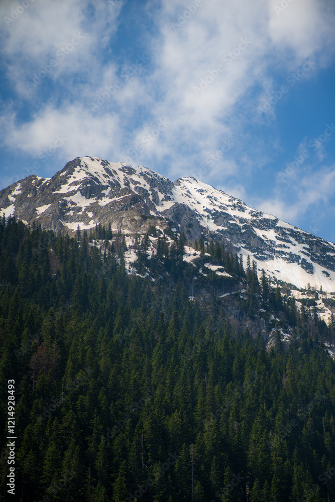 Fototapeta premium Majestic snow capped mountain peak rising above a dense coniferous forest under a bright blue sky dotted with white clouds, creating a breathtaking landscape during a sunny day