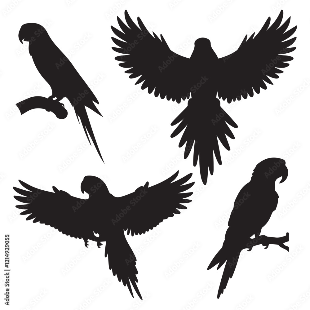 Obraz premium Vector parrot silhouettes of amazon jungle isolated on white background