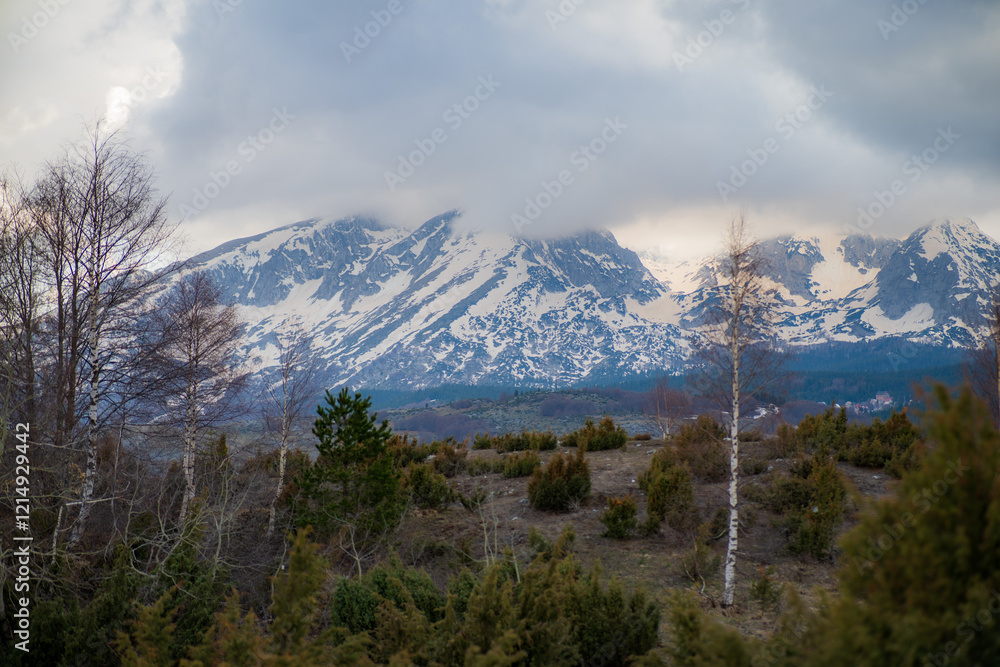 Obraz premium Stunning snow capped mountain peaks rising majestically above a lush green valley create a breathtaking landscape, all under a dramatic, cloudy sky that enhances the serene atmosphere