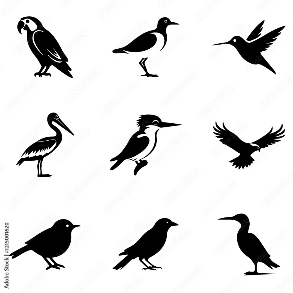 Obraz premium birds silhouettes set, birds icon silhouette vector.