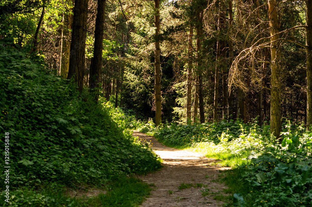 Views of nature and mountains on a popular hiking route in the mountains not far from Almaty. Summer landscapes in the mountains. Views of nature and mountains on a popular hiking route in the mountains not far from Almaty. Summer landscapes in the mountains.