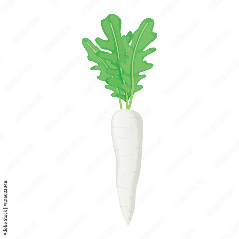 Daikon radish with green leaves in flat design. Organic vegetable harvest. Vector illustration isolated. Daikon radish with green leaves in flat design. Organic vegetable harvest. Vector illustration isolated.