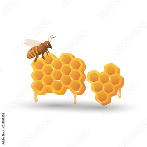 Bee with honey comb in flat design. Honeycomb and insect, apiculture product. Vector illustration isolated.