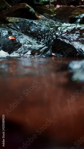 Natural water spring, flowing clear water in wilderness