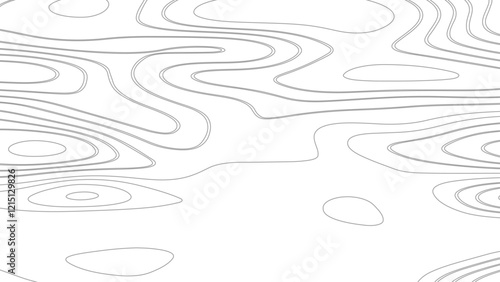 Topography and geography map grid abstract backdrop. Business concept. Fish Fillet Texture, Salmon fillet texture, fish pattern. paper texture