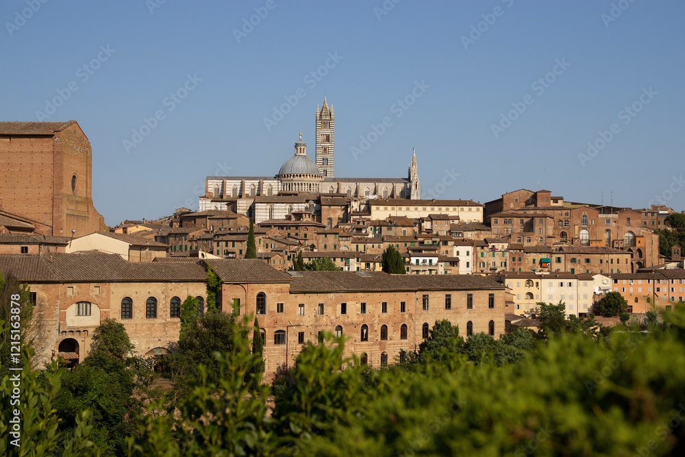 View of Siena from Fortezza Medicea
View of Siena from Fortezza Medicea