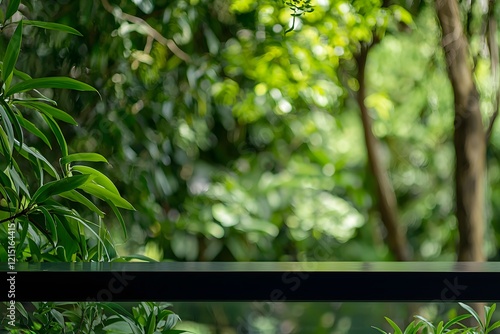 Wallpaper Mural Serene Green Nature Background Empty Black Tabletop with Lush Foliage and Blurred Trees Torontodigital.ca